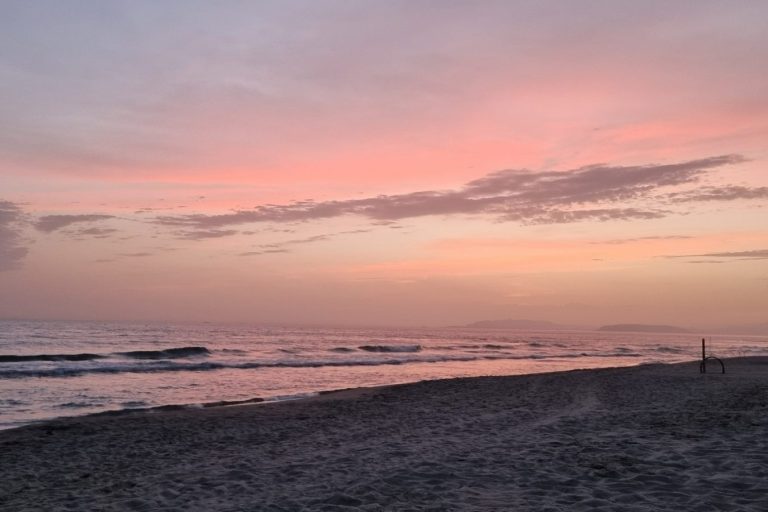 Work from anywhere